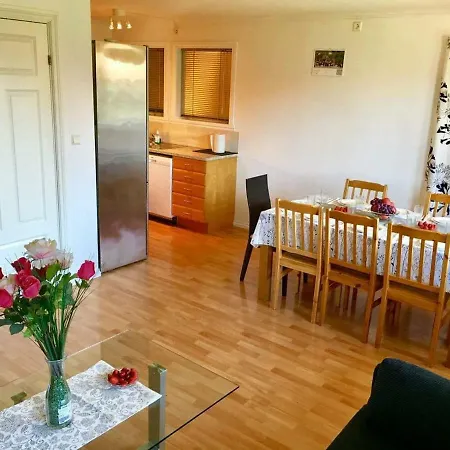 New Renovated Cozy - Big